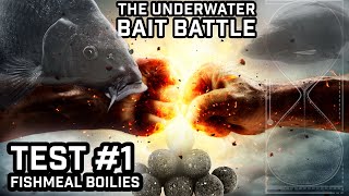 The underwater bait battle 1  Testing fishmeal boilies Carp fishing experiment [upl. by Gabriellia112]