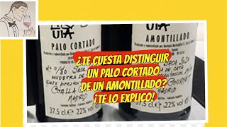 310 ¿COMO DISTINGUIR UN PALO CORTADO DE UN AMONTILLADO ¡TE LO EXPLICO [upl. by Teplitz]