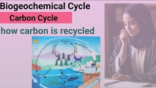 defination of biogeochemical cycle  what is carbon cycle  carbon dioxide recycling [upl. by Eneli]