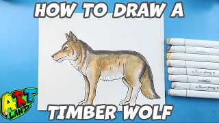 How to Draw a Timber Wolf [upl. by Ybanrab]