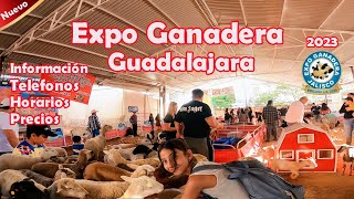 Expo Ganadera 2023 Guadalajara mexico [upl. by Moya114]