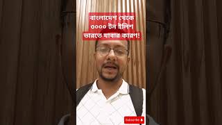 বাংলাদেশ থেকে ভারতে ইলিশ যাবার একমাত্র কারণ ইলিশ boycottindianproduct bangladesh politics [upl. by Ityak]