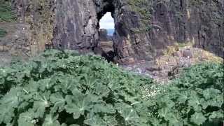 Exploring the cave on Fidra Island near North Berwick ScotlandMOV [upl. by Snashall]