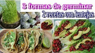 GERMINAR Y HACER BROTES LENTEJAS GRANOS CEREALES SEMILLAS Y 2 RECETAS CON LENTEJAS [upl. by Ahsoem]