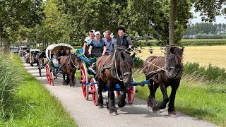 Boerenlandrit ZuidBeveland 2024 deel 2 [upl. by Noslen960]