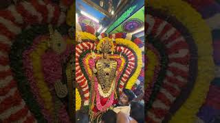 Pondicherry murugan 🙏 thirukalyanam trendingshorts trendingvideo trending trend love song [upl. by Kalk]