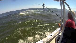 Fishing Barnegat Bay 3 [upl. by Nynahs]