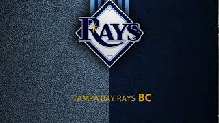 Tampa Bay Rays 2020 Postseason Home Run Horn NO SONG [upl. by Nika]