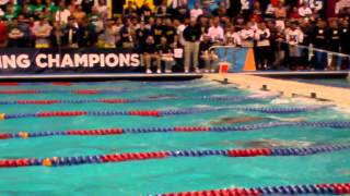 2013 USC Mens Swimming 200y Relay  Vladimir Morozov World Record [upl. by Harbert]