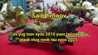 Cov neeg yug tsov xyoo 2010 yuav tau ceev faj plaub ntug kev txhaum cai nyob rau xyoo 2025 [upl. by Nythsa]