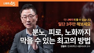 건강한 호르몬을 만드는 6가지 원칙  안철우 연세대학교 내분비내과 교수 w 구범준 PD  건강 저속노화  세바시나머지45 ep70 [upl. by Hamlet]