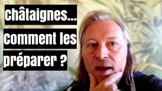 Comment préparer les châtaignes [upl. by Aldon]