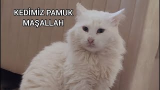 Onur AlpkanKEDİMİZ PAMUK [upl. by Erl]