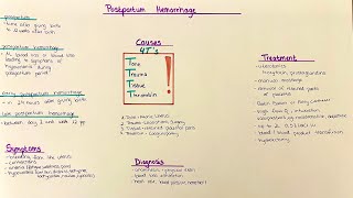 Postpartum Hemorrhage  Diagnosis Causes Treatment Complications [upl. by Aldora]