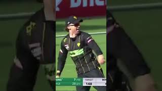 bestcatch everseen cricketlover unbelievable [upl. by Aitselec]