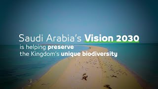 Protect our environment Protect our present Protect our future  Sustainable Saudi Vision [upl. by Nelsen365]