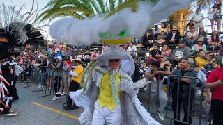 La Presentación del Carnaval Papalotla 2020 Barrio Xolalpa Tercera Parte [upl. by Nairim478]