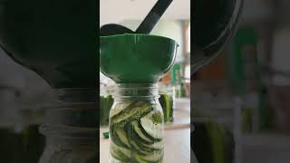 SUPER EASY Homemade Dill Pickles Summer Canning canning pickles gardening [upl. by Dagny]