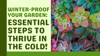 How To Winter Proof Your Flower Garden  Essential Steps [upl. by Nylknarf183]