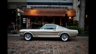 Revology Car Review  1965 Mustang GT 22 Fastback in Harvest Gold Metallic [upl. by Neelyk]