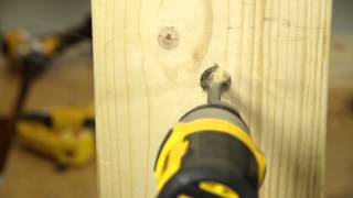 DEWALT® Belgique  EXTREME IMPACT Mèches à bois plates [upl. by D'Arcy213]