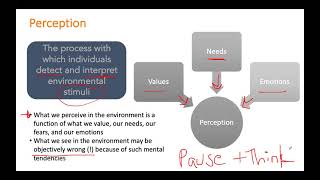 Organizational Behavior Perception [upl. by Nivac]