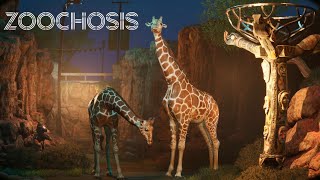 Perfectly quotNormalquot Zookeeper Life LIVE  Zoochosis Stream [upl. by Raskind706]