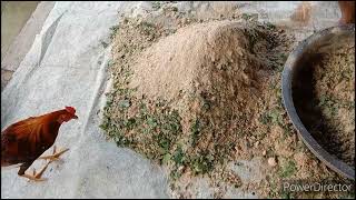 How to make Organic Feeds for Native chicken  Hog Poultry [upl. by Cthrine]