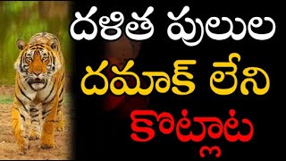 LIVE అడ్వకేట్ శరత్ CM పై తీవ్ర విమర్శలు AVM కౌంటర్   AVM MEDIA [upl. by Krucik]