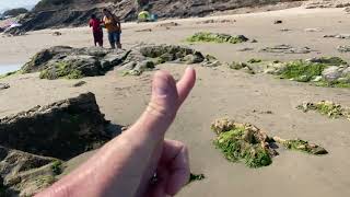 What are intertidal zones [upl. by Joacimah763]