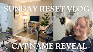 Sunday Reset Day In My Life Vlog amp New Cat Name Reveal [upl. by Treat437]