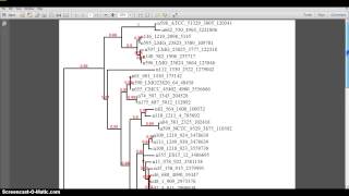 Cronobacter PubMLST Part 4 [upl. by Pavel621]