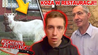 Kuchenne Rewolucje  Koza w Restauracji [upl. by Dubois260]