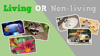 The Surprising English Test That Teaches Kids About Living and NonLiving Things [upl. by Naitsabas474]