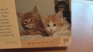 Das ist der beste Katzenkalender [upl. by Gudrin]