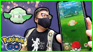 First Ever Shiny Cottonee Special Weekend Event in Pokemon GO [upl. by Gothart]