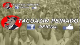 Gingle Tacuazin Peinado Oficial  Norman [upl. by Chaudoin]