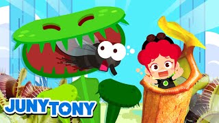 InsectEating Plants  Some Plants Eat Bugs  The Monster Plants  Kids Songs amp Stories  JunyTony [upl. by Eicnahc272]