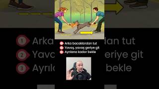 Arka Bacak Yöntemi köpekler köpekadam çağrıaracı köpek youtubecreatorcommunity [upl. by Leelaj]