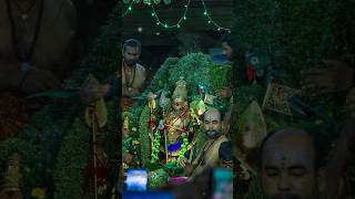 செவ்வாய்க்கிழமை இதை செய்யுங்கள் வெற்றி உறுதி murugan tiruchendur murugantemple shortstamil pooj [upl. by Lanford]