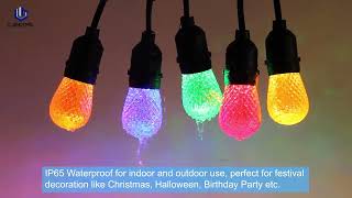 S14 colorful festoon LED string light [upl. by Bower]