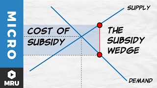 Subsidies [upl. by Sera]