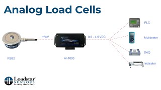 Analog Load Cells [upl. by Enyehc]