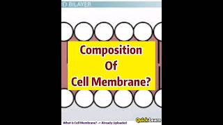 Composition of Cell Membrane  Quick Learn biology cellmembrane mazharsaeed [upl. by Michaeline]