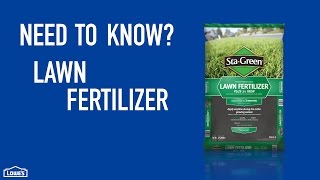 Need to Know Lawn Fertilizer [upl. by Itsud]