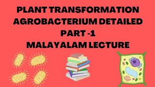 PLANT TRANSFORMATION  MSc Botany  Atumefaciens Detail Note  Malayalam Lecture  Simplified [upl. by Anilam]