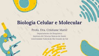 03 Biologia Celular e Molecular Metabolismo do DNA [upl. by Orest]