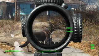 Fallout 4 See Through Scopes Tutorial part3 [upl. by Ylrebmik]