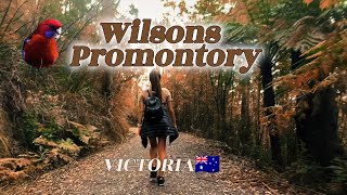 【Wilsons Promontory】Victoria [upl. by Riggins]