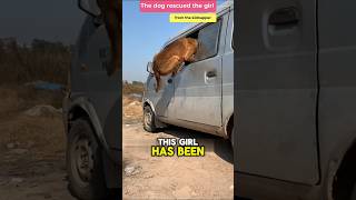 The dog rescued a girl from kidnappers 😱 voicereaction inenglish usa america [upl. by Ashbaugh]